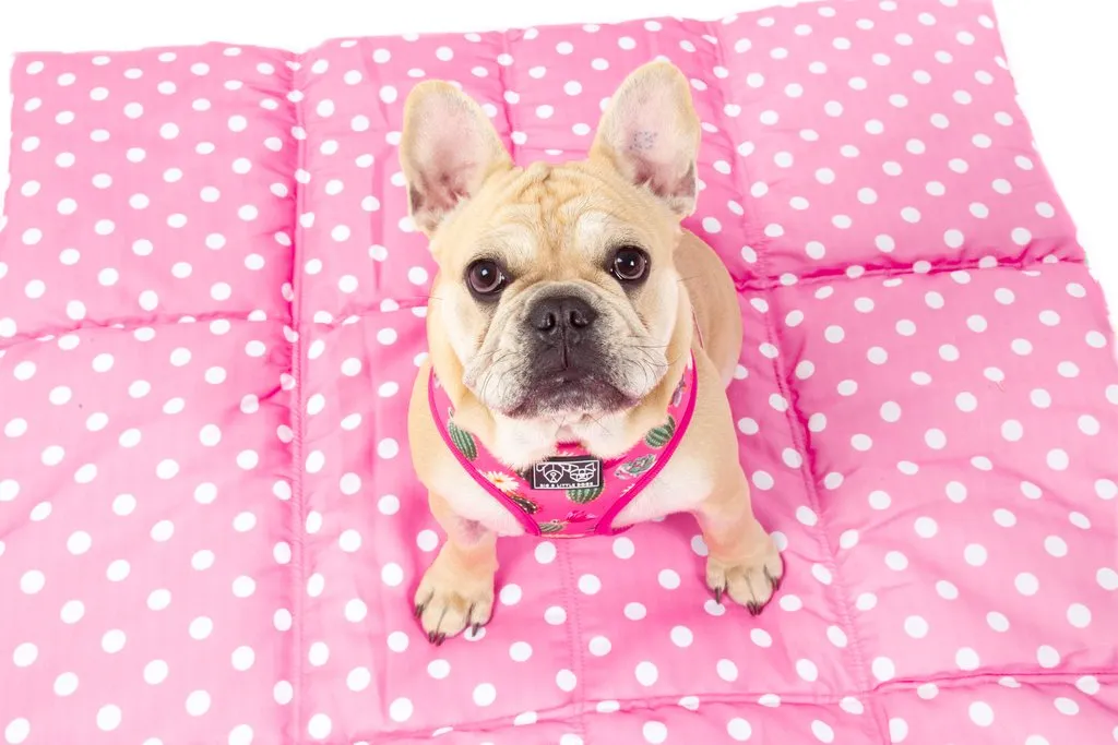 Big & Little Dogs - On The Go Pet Mat - Plant One on Me