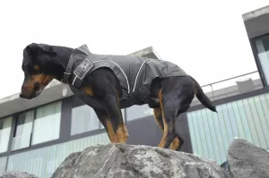 Dog Winter Jacket w/ Fleece Black, XS - 4XL - Perfect for the Outdoor Enthusiast