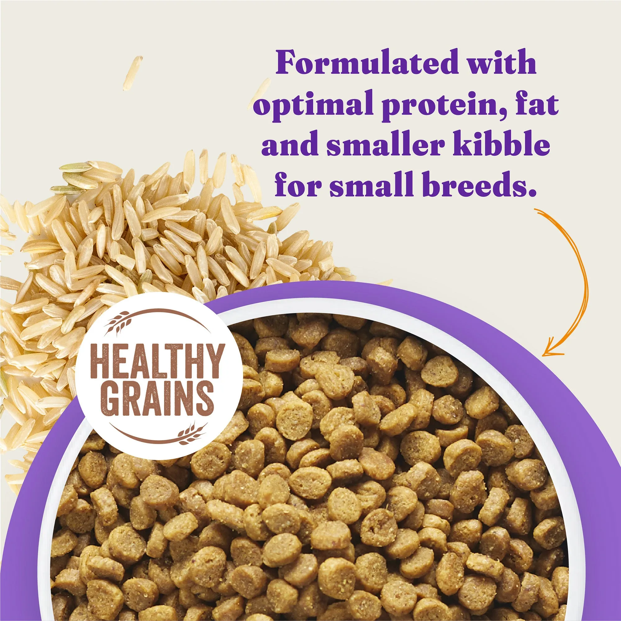 Holistic Cage-Free Chicken & Brown Rice Recipe Small Breed Dry Dog Food