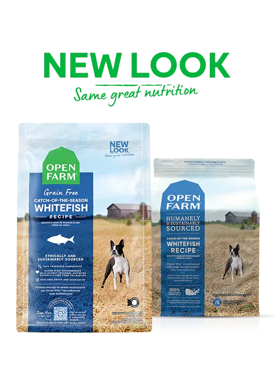 Open Farm for Dogs - Grain Free Catch of the Season Whitefish Dry Food